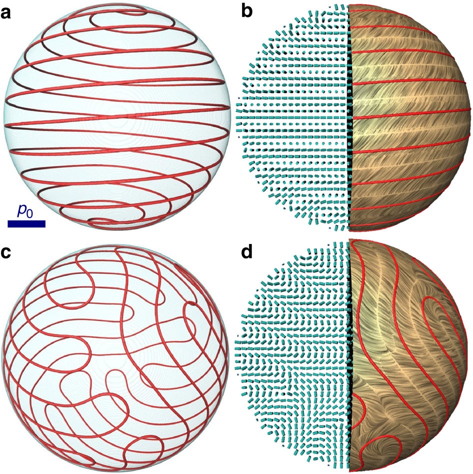 Topological zoo of free-standing knots in confined chiral nematic fluids |  Nature Communications