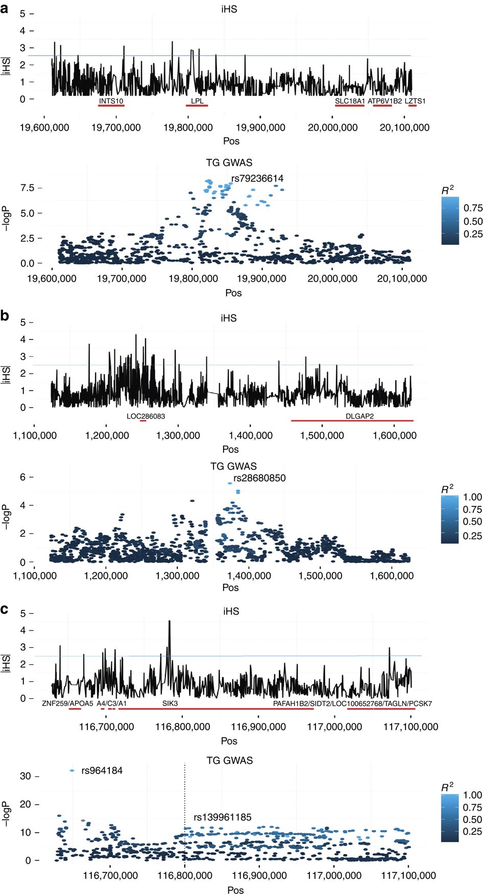 Amerindian-specific regions under positive selection harbour new lipid  variants in Latinos | Nature Communications