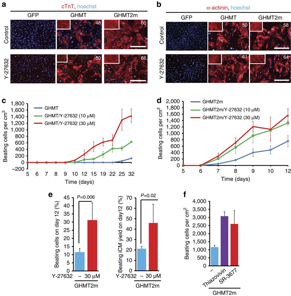 High-efficiency reprogramming of fibroblasts into cardiomyocytes requires  suppression of pro-fibrotic signalling | Nature Communications