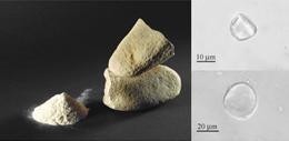 Stone Age flour found across Europe