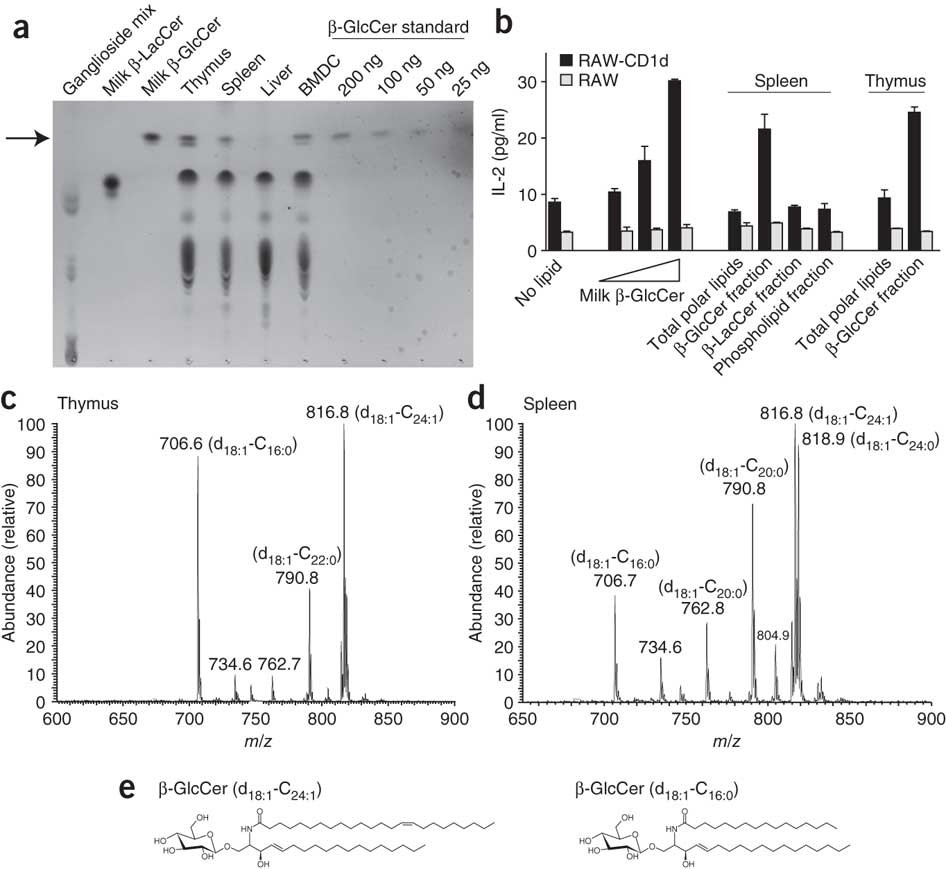 Invariant natural killer T cells recognize lipid self antigen  