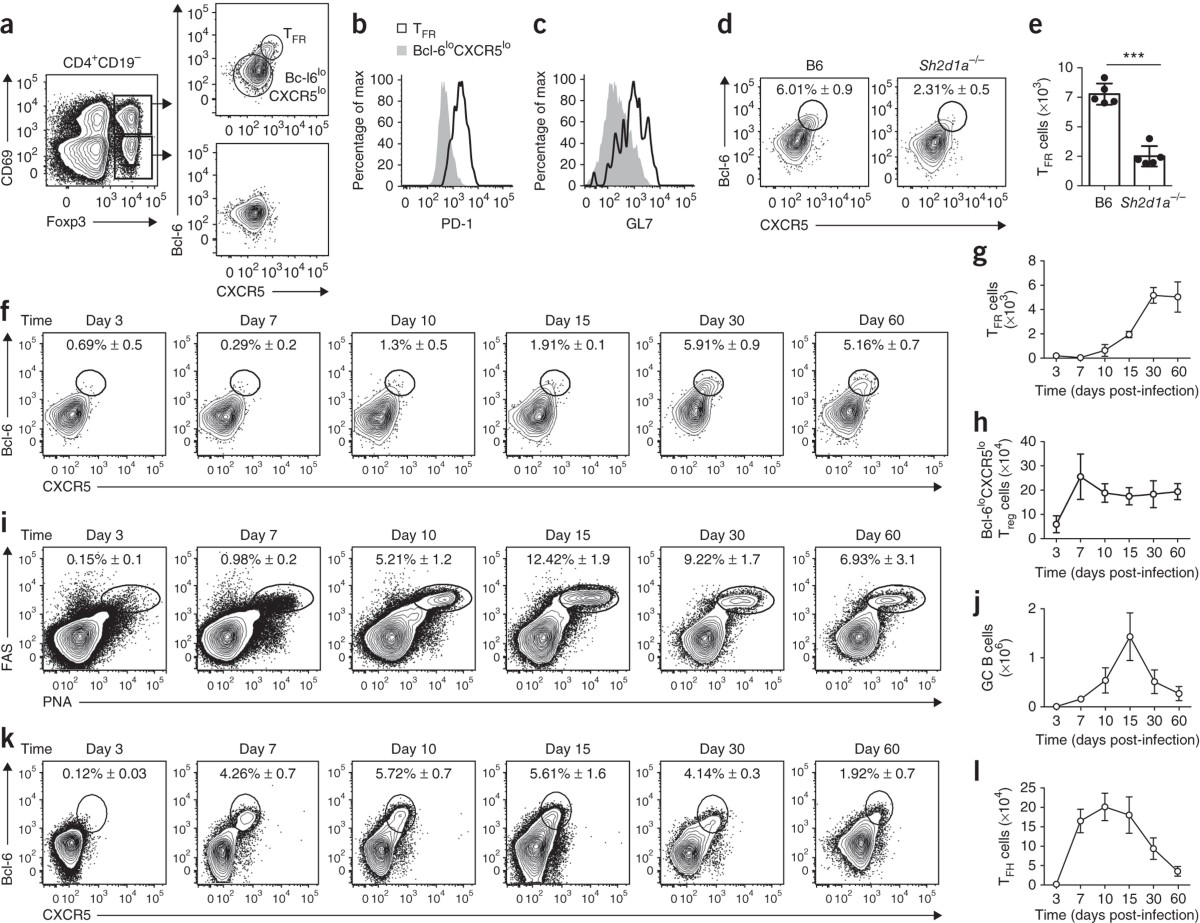 dynamic-regulation-of-t-follicular-regulatory-cell-responses-by-interleukin-2-during-influenza-infection-nature-immunology