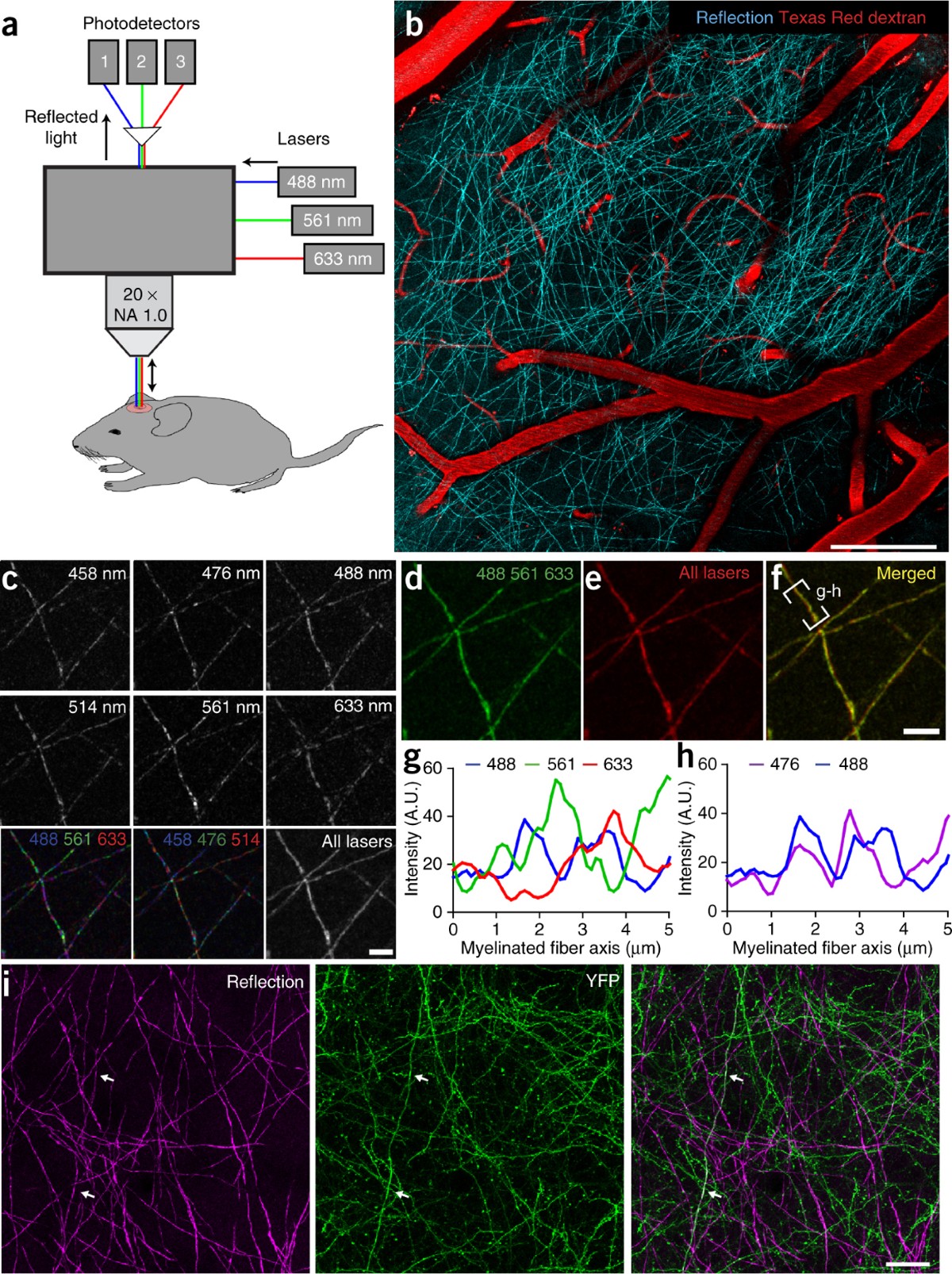 Chamada RM 291, 2014