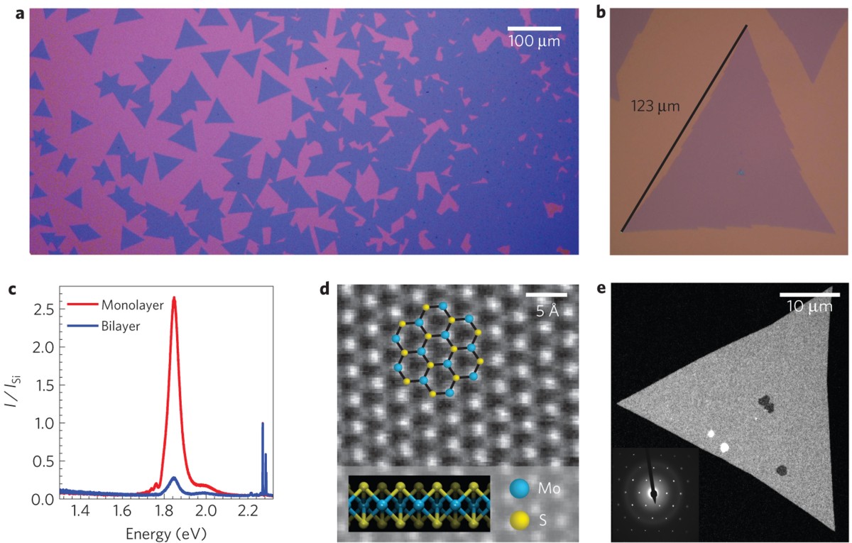 Grains and grain boundaries in highly crystalline monolayer molybdenum  disulphide | Nature Materials