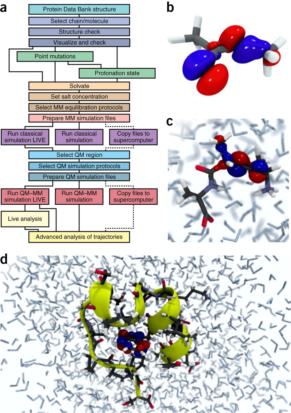 NAMD goes quantum: an integrative suite for hybrid simulations | Nature  Methods