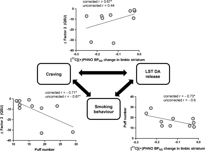 Elevation of Dopamine Induced by Cigarette Smoking: Novel Insights from a  [11C]-(+)-PHNO PET Study in Humans