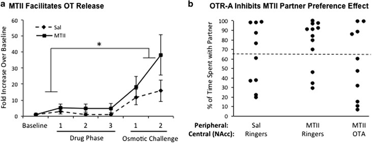 Melanocortin Receptor Agonists Facilitate Oxytocin-Dependent Partner  Preference Formation in the Prairie Vole | Neuropsychopharmacology
