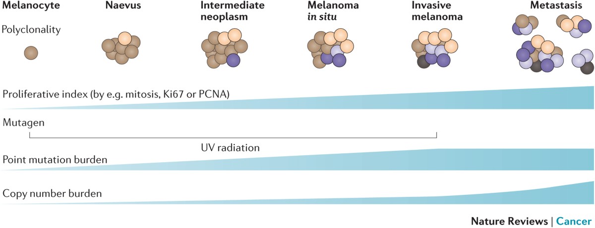 how much melanotan 2 do i take Melanotan 2 Vials for Effective Tanning and Skin Glow