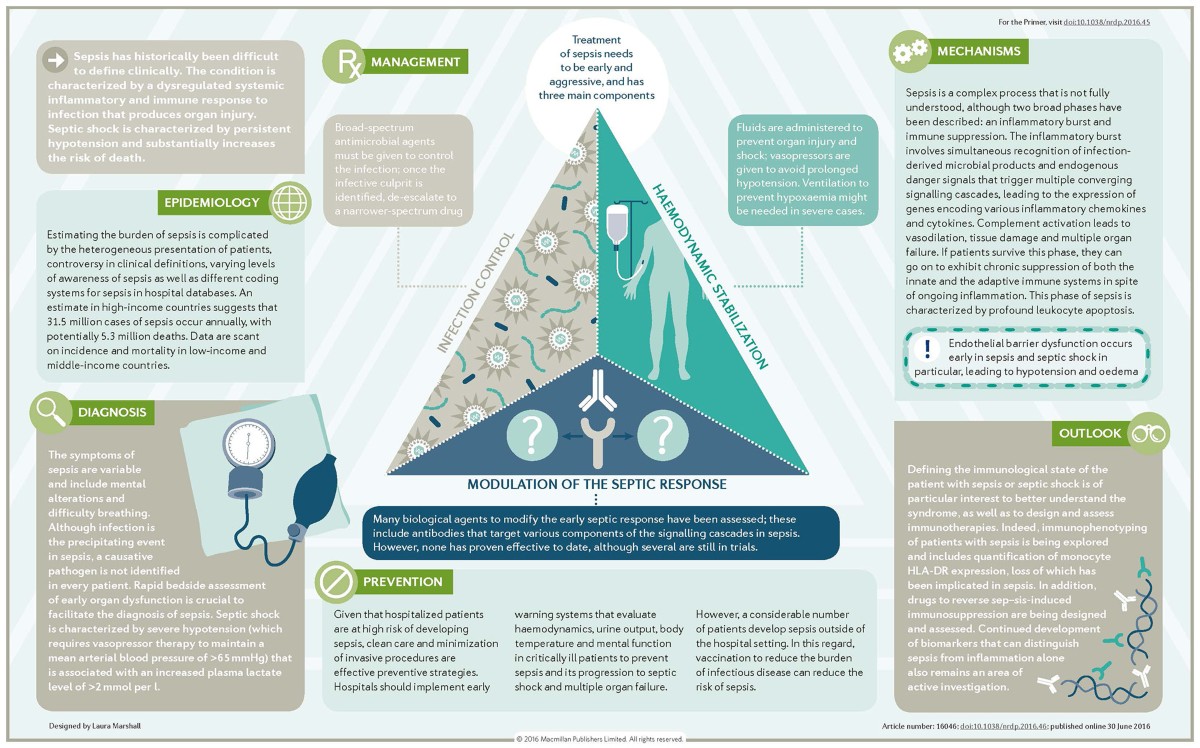 Sepsis and septic shock | Nature Reviews Disease Primers