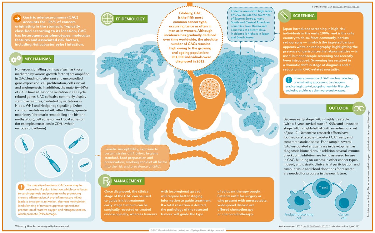 Gastric Adenocarcinoma Nature Reviews Disease Primers