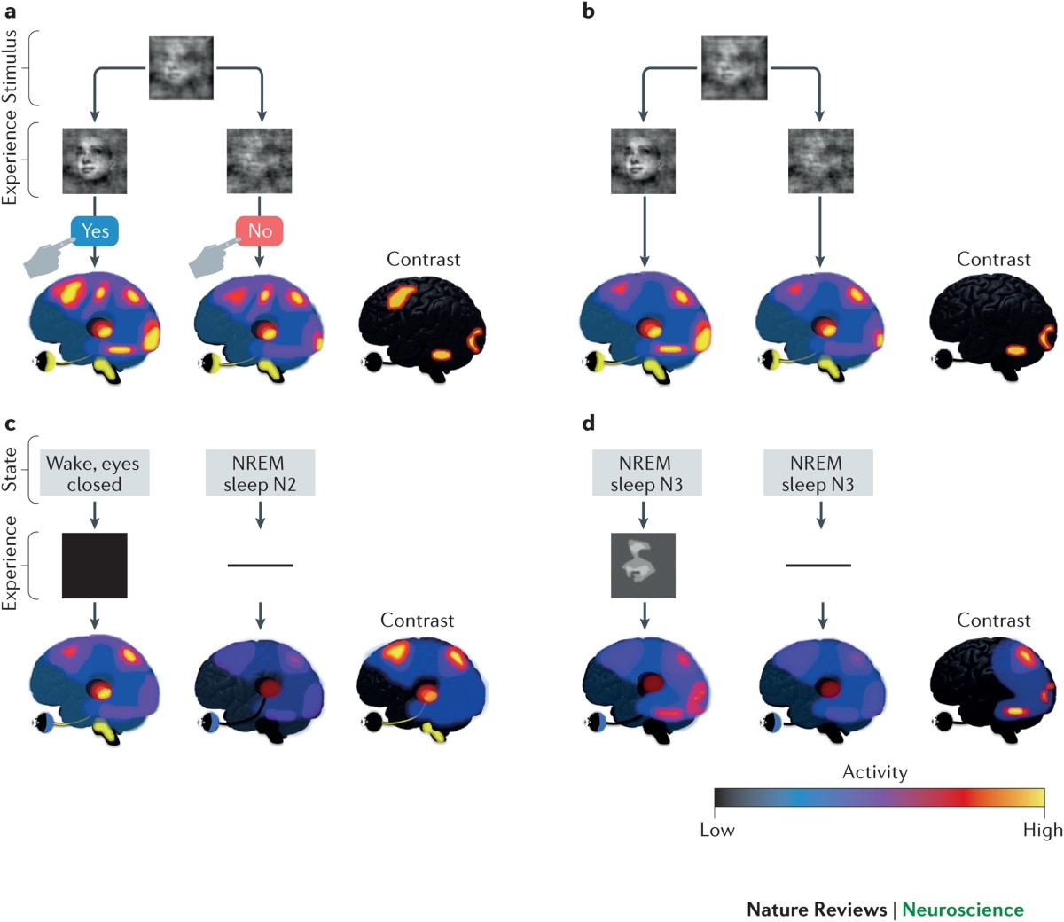 Neural correlates of consciousness: progress and problems | Nature Reviews  Neuroscience