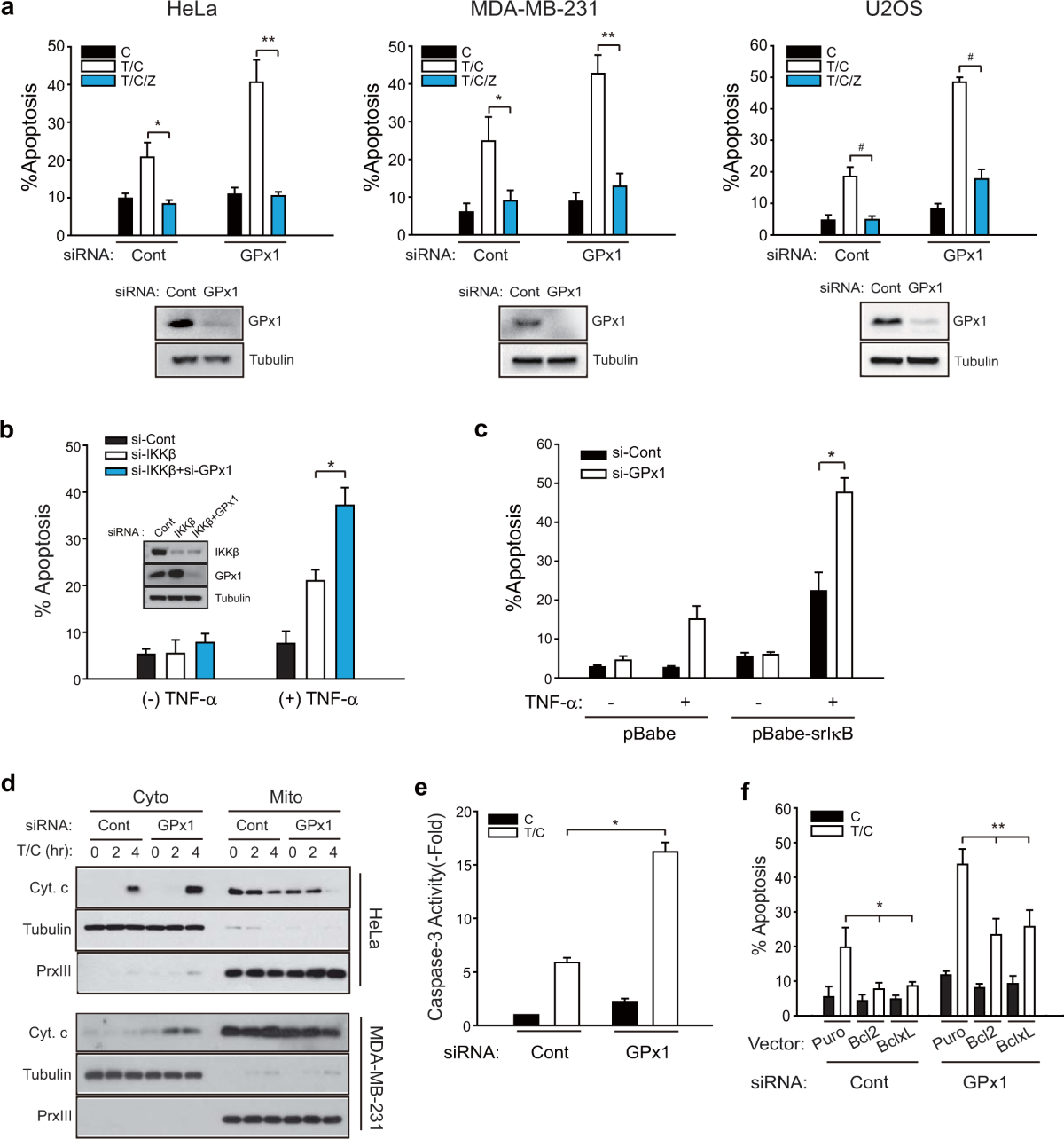 glutathione peroxidase pronunciation Did you know? Glutathione is studied for: Oxidative Stress Immune Function  Liver Detoxification Pathways #Glutathione #Detox #CuratedCompounds  #Research #AminoAcids For Research Use