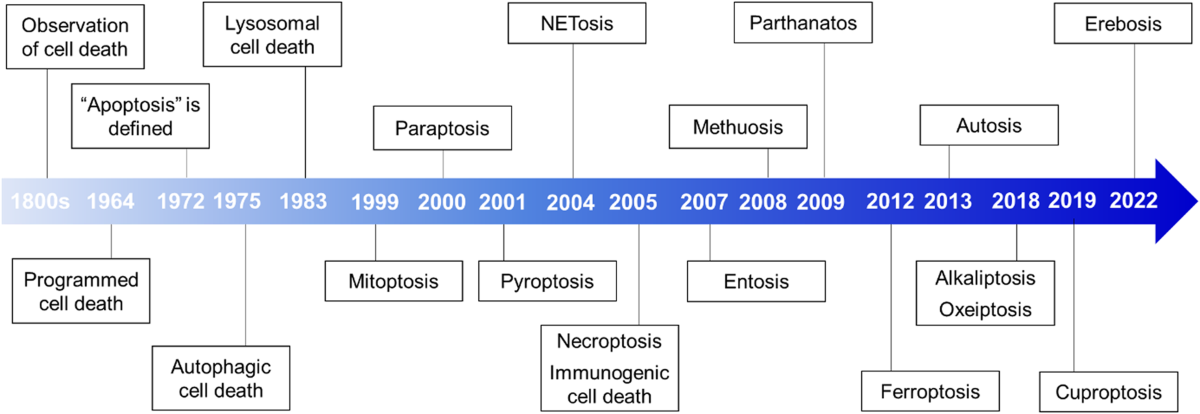 Diversity And Complexity Of Cell Death: A Historical Review | Experimental & Molecular Medicine