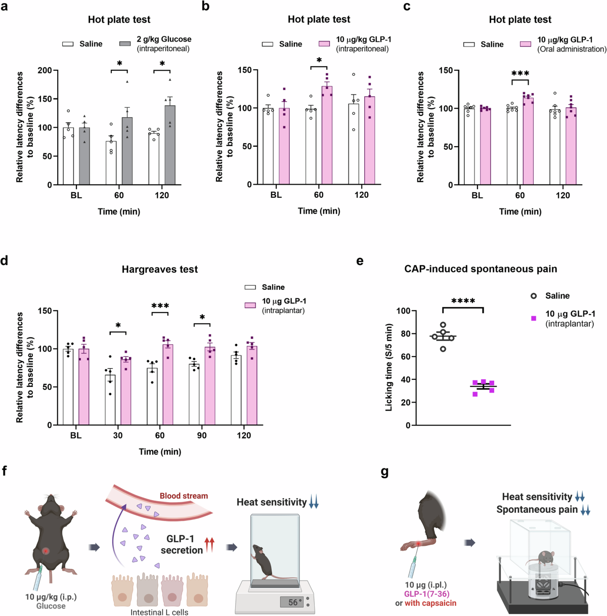 glp 1 for pain management GLP-1 and its derived peptides mediate pain relief through direct TRPV1  inhibition without affecting thermoregulation