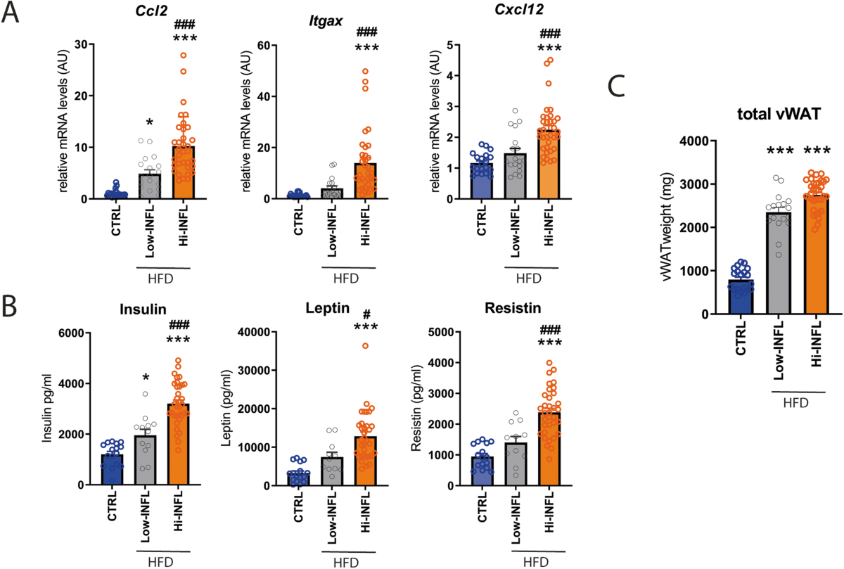SMYD3: a new regulator of adipocyte precursor proliferation at the early  steps of differentiation | International Journal of Obesity