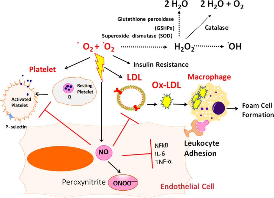 glutathione iv for cancer Benefits of IV Therapy in Adjunctive & Naturopathic Cancer Care