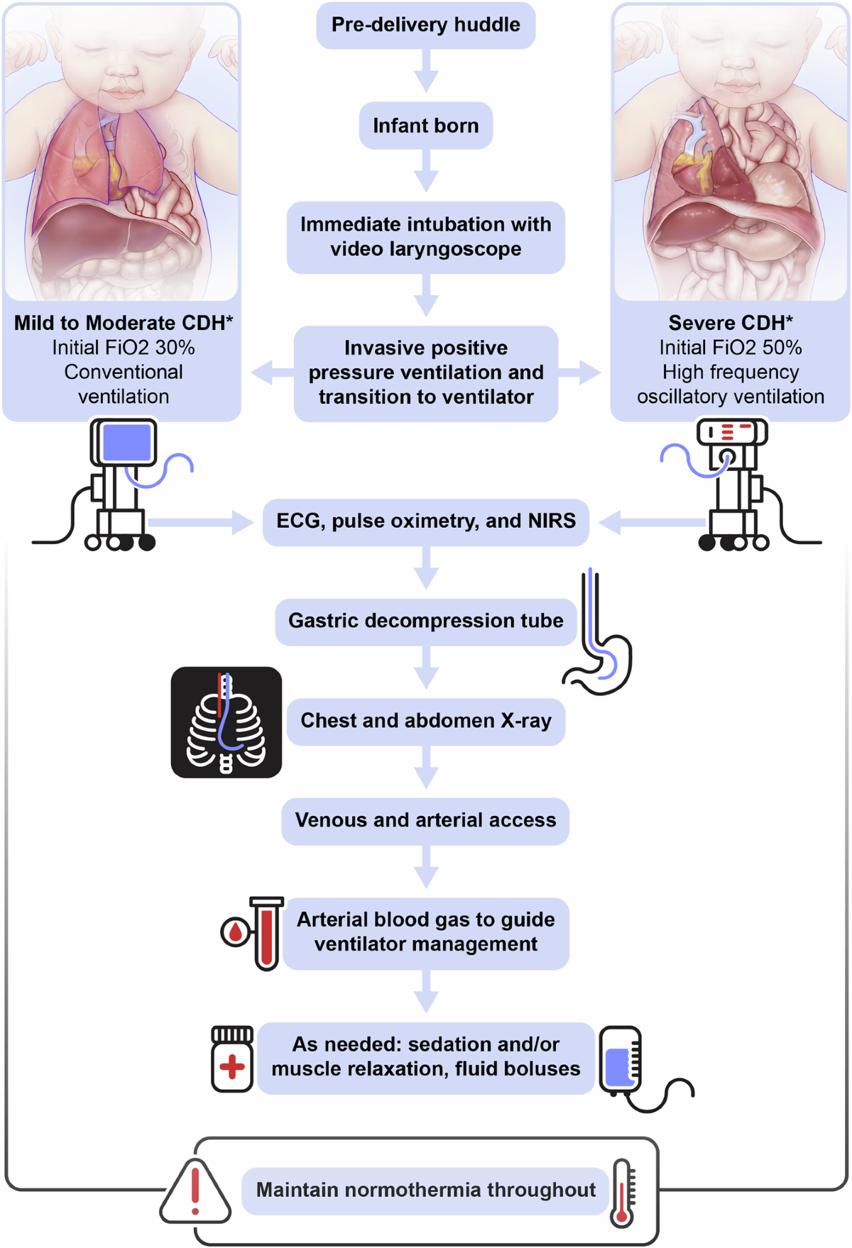 Golden hour management of infants with congenital diaphragmatic hernia: 15  year experience at a high-volume center | Journal of Perinatology, image size:1200x1759