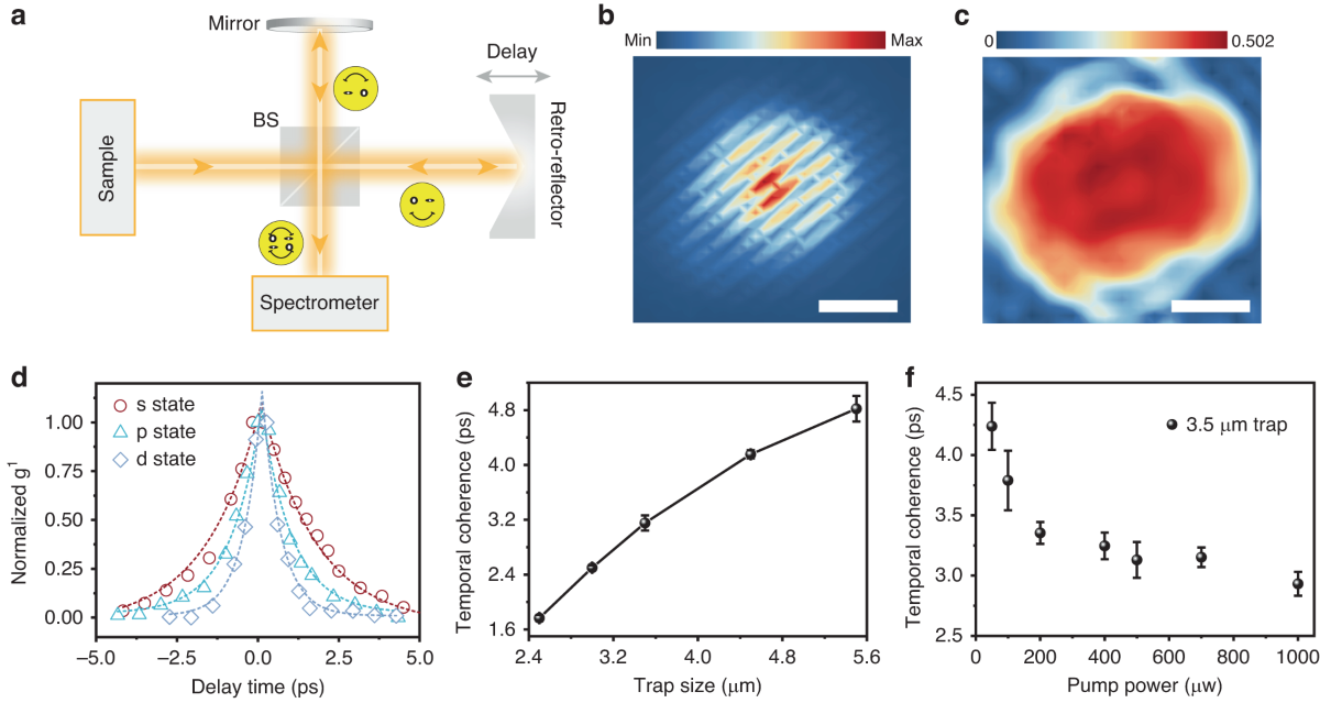 Manipulating nonlinear exciton polaritons in an atomically-thin  semiconductor with artificial potential landscapes | Light: Science &  Applications