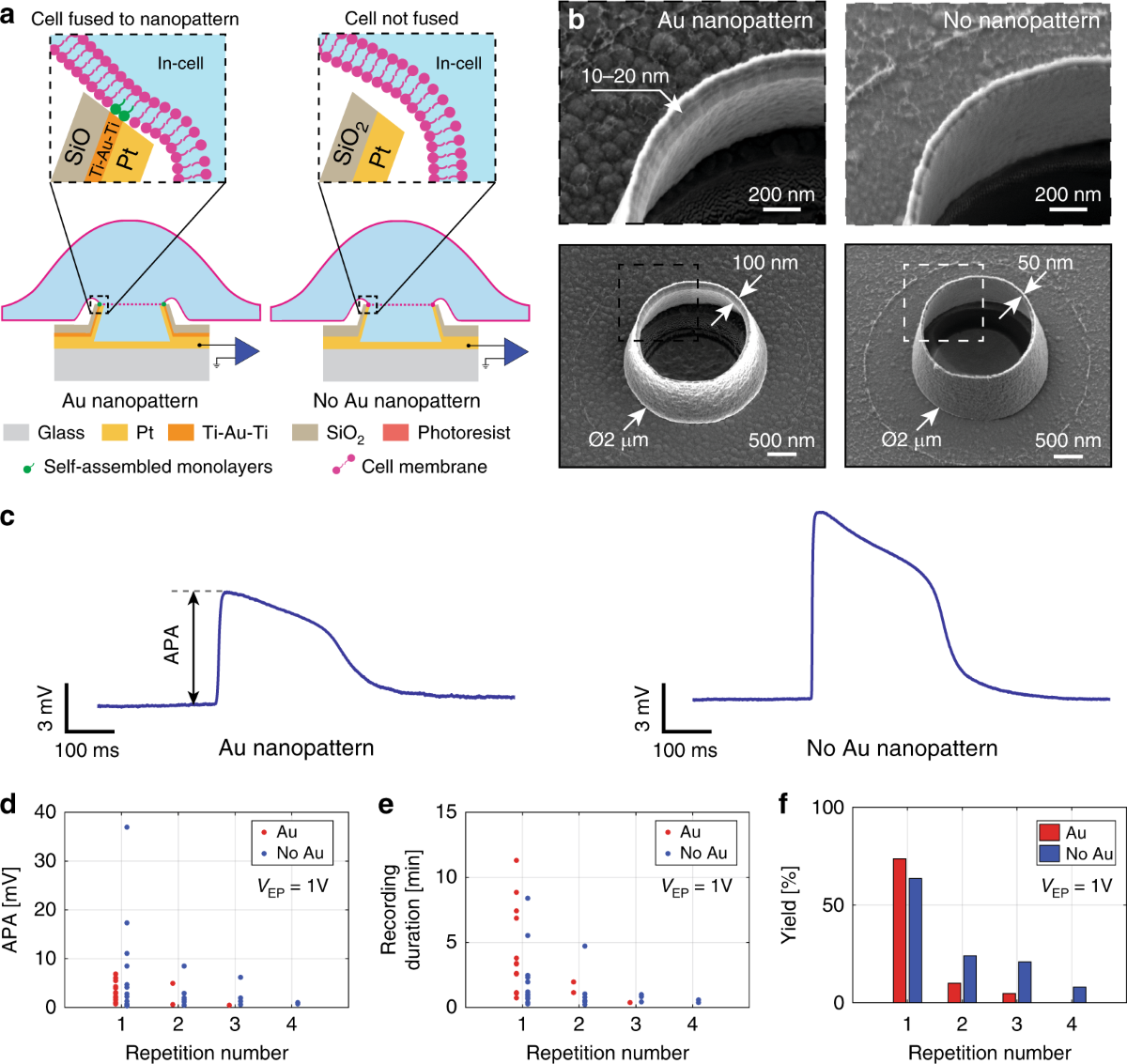 Nanotechnology enters the realm of superconductors, EUROTAPES Project, Results in brief, FP7, CORDIS