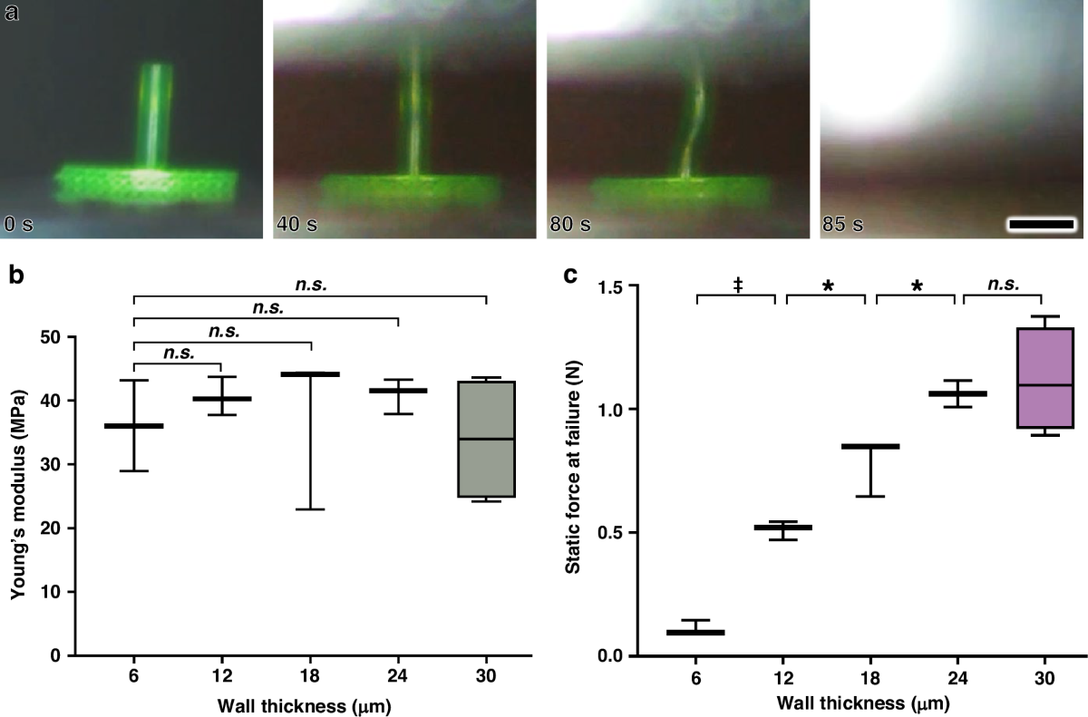 Modulus labs inc address (87) 사진