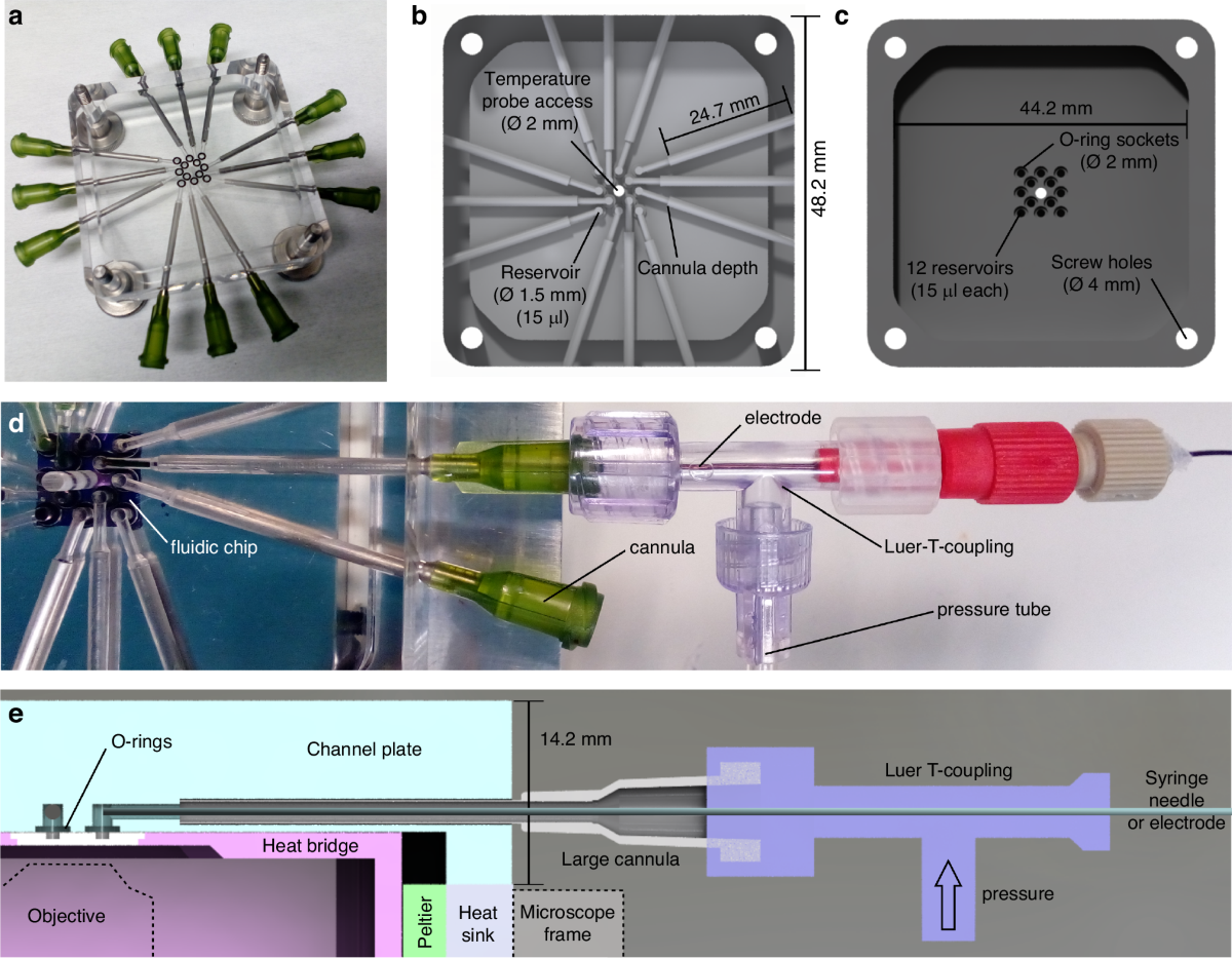 A temperature-controlled chip holder with integrated electrodes for  nanofluidic scattering spectroscopy on highly integrated nanofluidic  systems | Microsystems & Nanoengineering