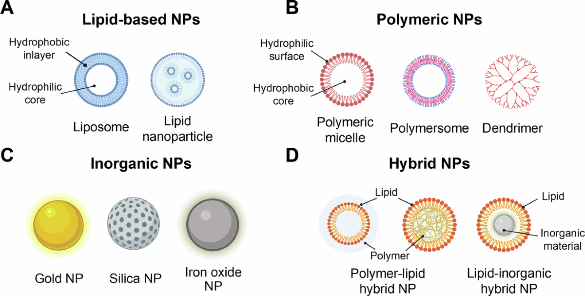 Clinical innovations and future directions of nanoparticles in the treatment of psychiatric and neurological disorders