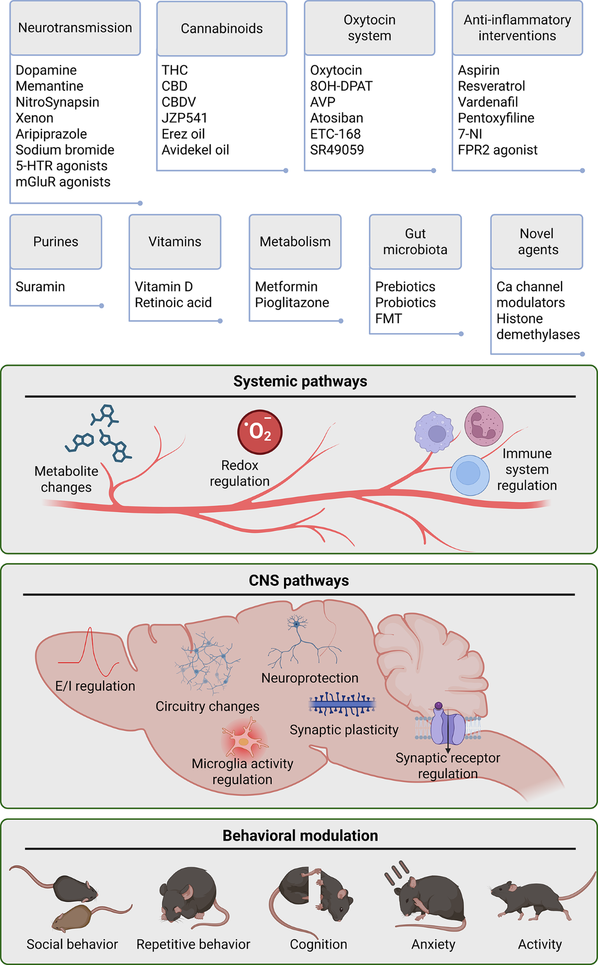 Efficacy of pharmacological and microbiota-based therapies in preclinical models of autism spectrum disorder: a systematic review