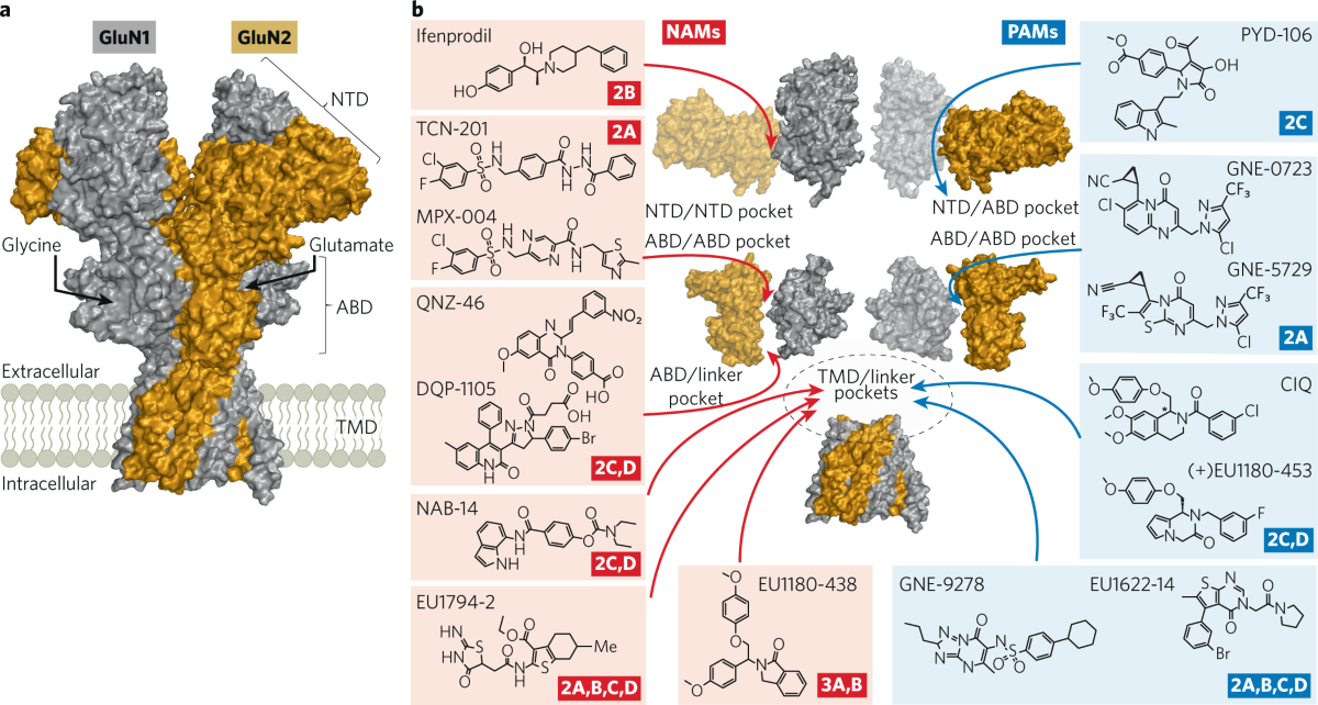 where to buy ghk-cu peptides Amazon.com: Neurogan