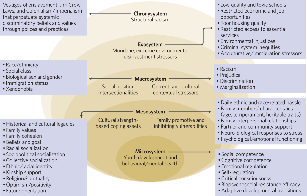 A review of the impact of structural racism on lived experiences of  adolescents of African descent: Implications for development, brain  structure, and health | Neuropsychopharmacology, image size:1200x767