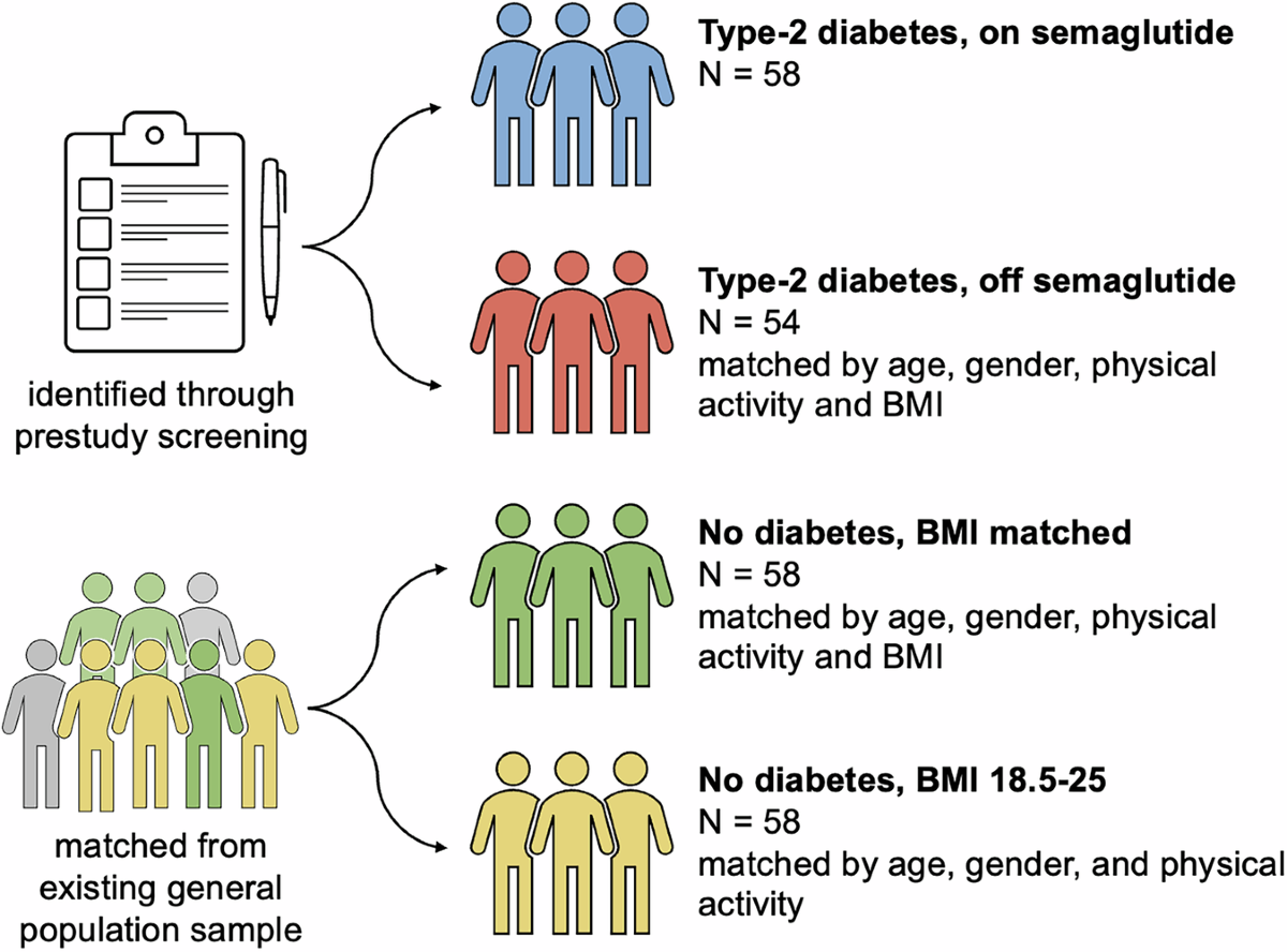 why semaglutide works How Long Does It Take for Semaglutide to Work?