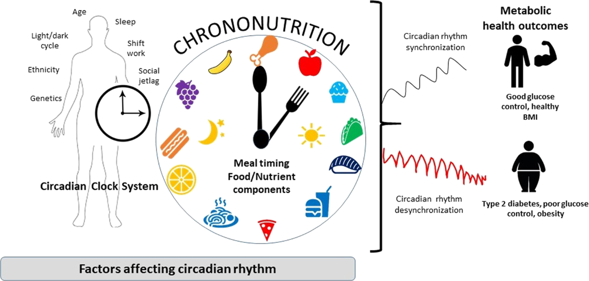 Chrononutrition in the management of diabetes | Nutrition & Diabetes