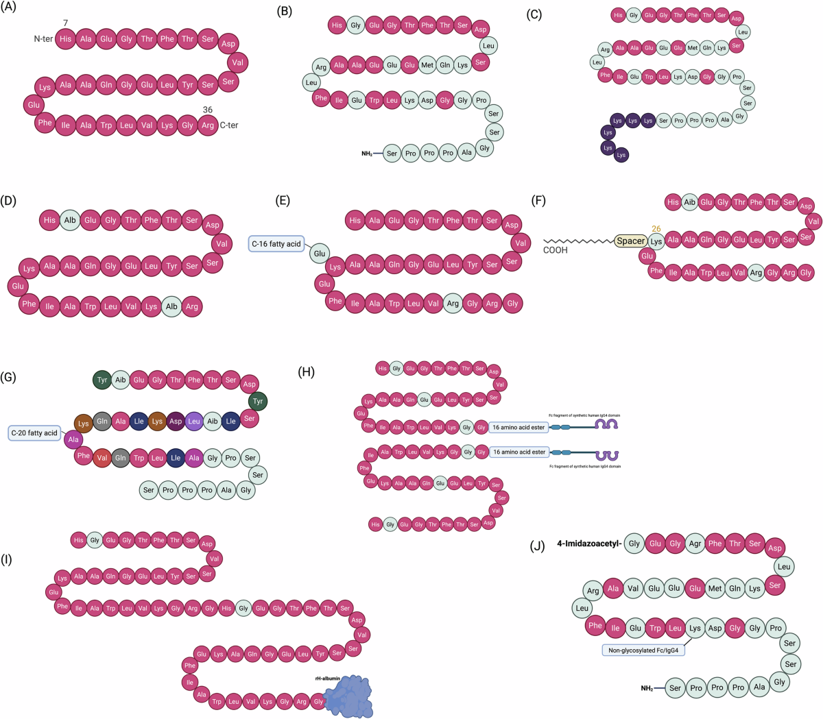 exendin based glp 1 Designing GLP-1 delivery: structural perspectives and formulation  approaches for optimized therapy