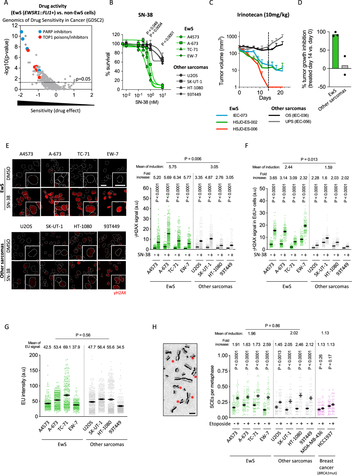 Frontiers | Perspectives on the Treatment of Advanced Thyroid Cancer:  Approved Therapies, Resistance Mechanisms, and Future Directions, image size:1200x1618