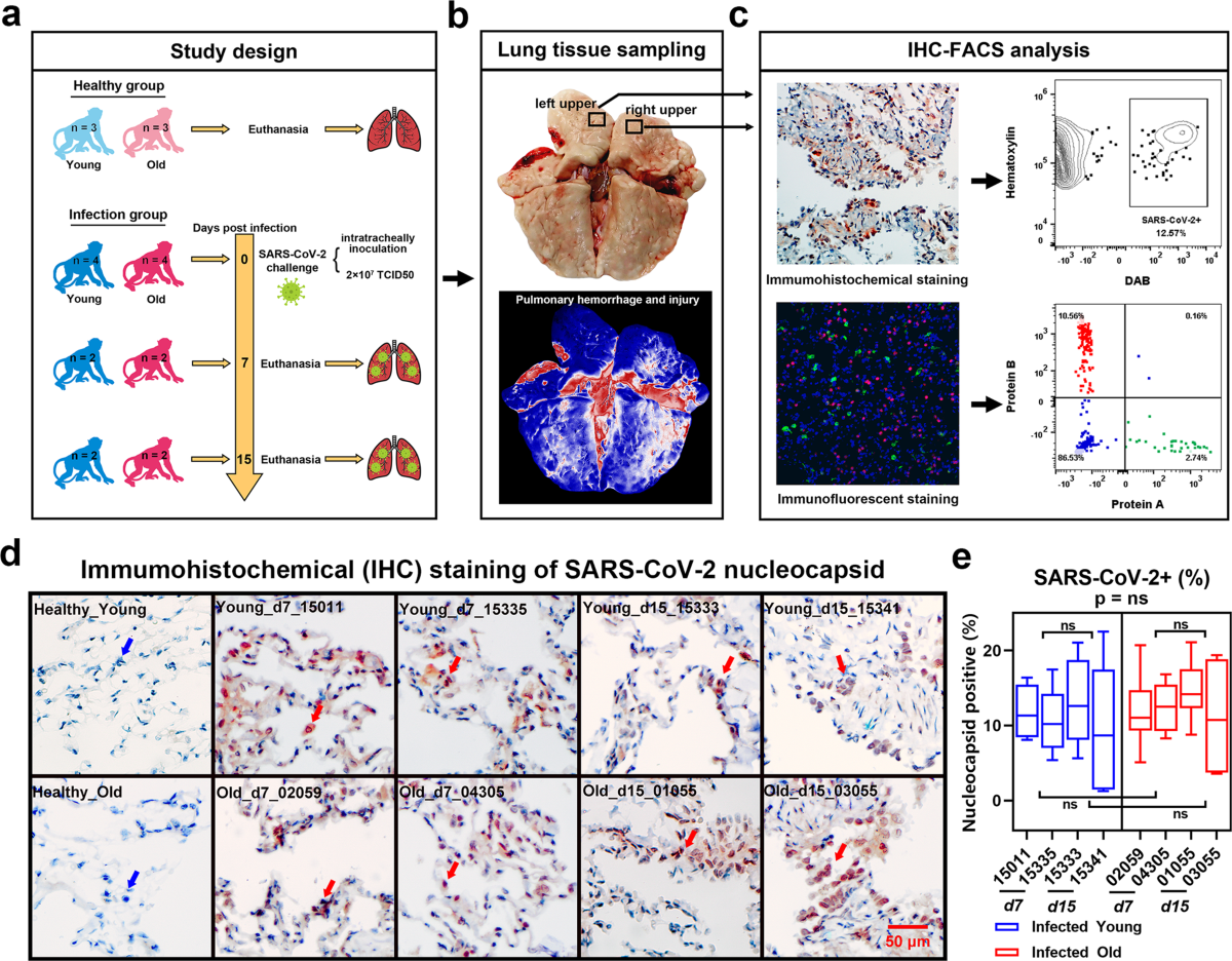 Neoaortic Regurgitation Detected by Echocardiography After Arterial Switch  Operation: A Systematic Review and Meta-Analysis | JACC: Advances, image size:1200x936