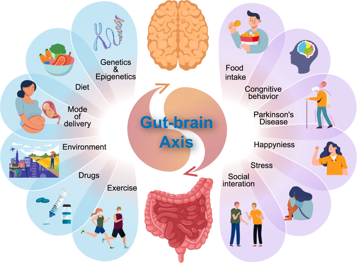 Microbiota in health and diseases | Signal Transduction and Targeted Therapy