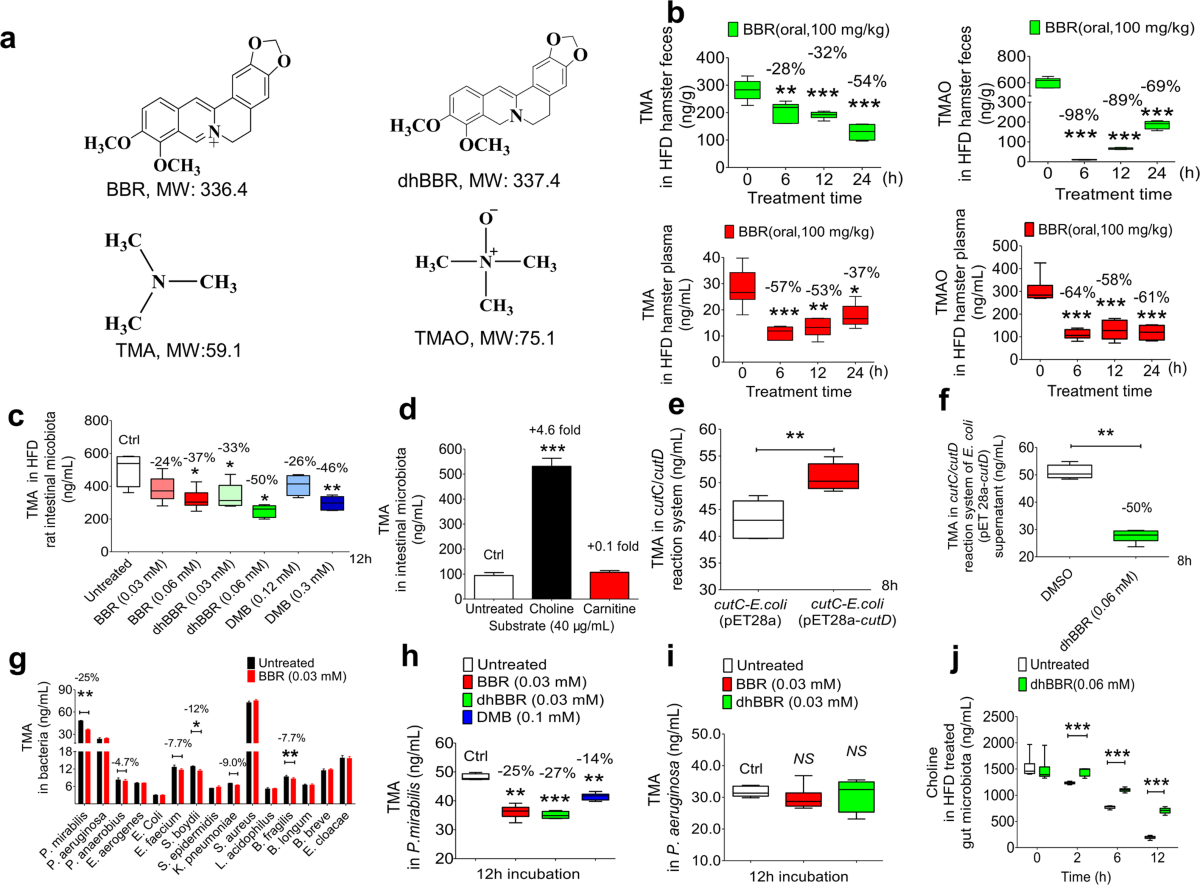 silymarin betaine berberine molybdenum glutathione treats atherosclerosis via a vitamine-like effect down-regulating Choline-TMA-TMAO production pathway in gut microbiota sulforaphane-glucosinolate Japan Made Legitimacy Check? Quantity:14 servings