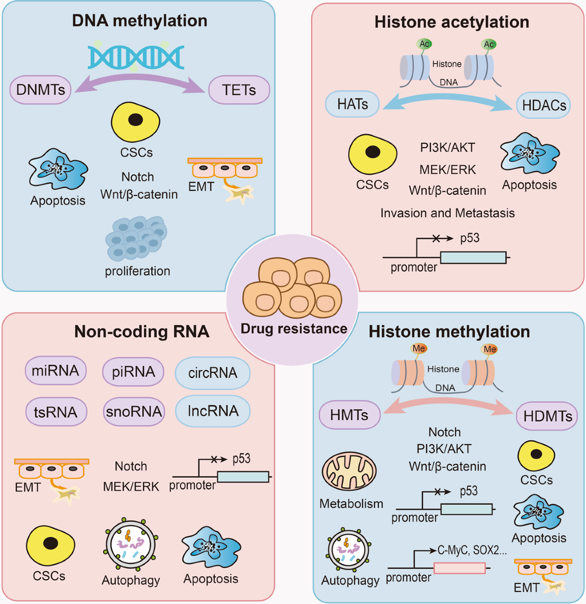 glutathione disorder anemia The Role of Glutathione Metabolism in Chronic Illness Development and Its  Potential Use as a Novel Therapeutic Target