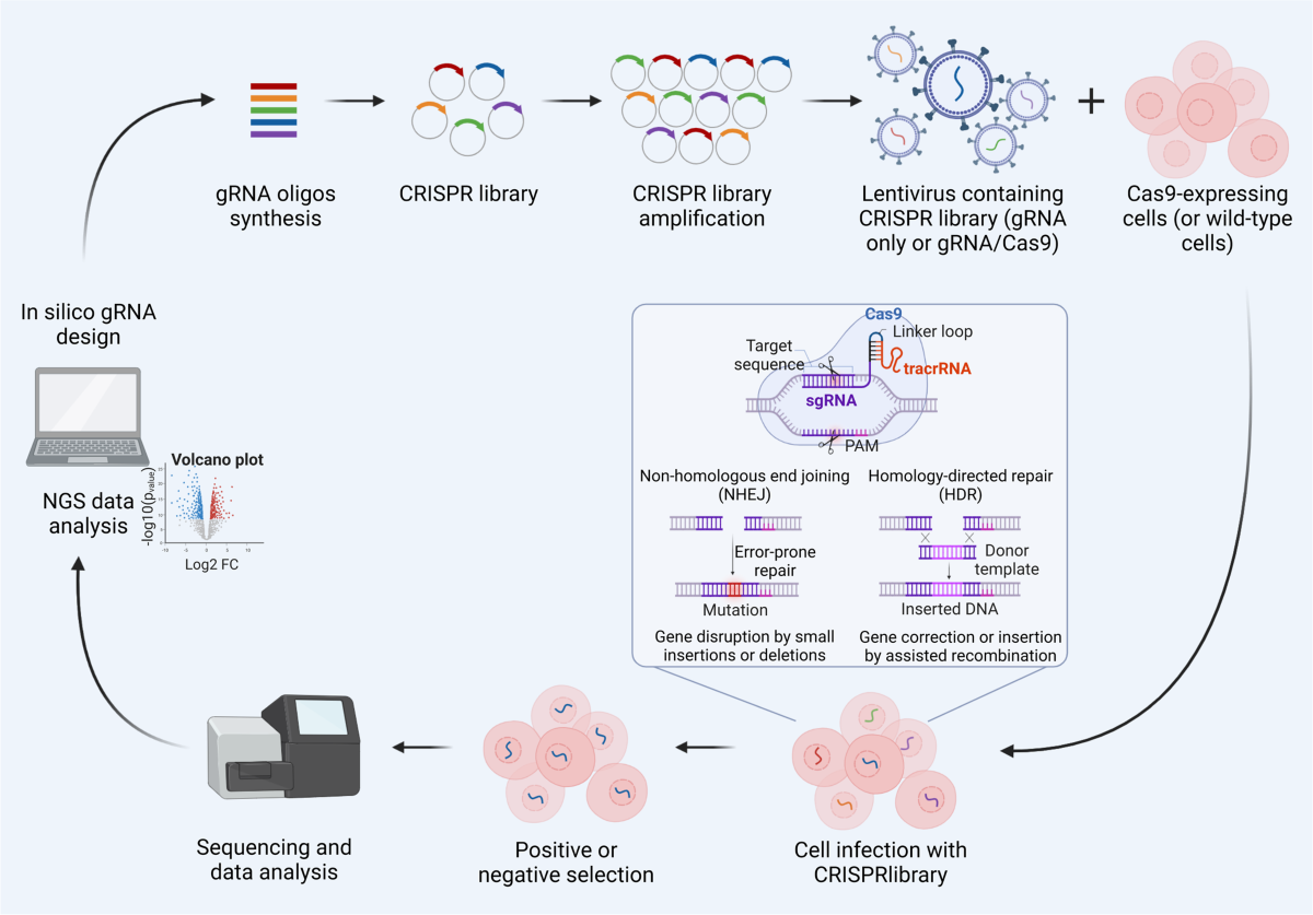 To metabolomics and beyond: a technological portfolio to investigate cancer  metabolism | Signal Transduction and Targeted Therapy