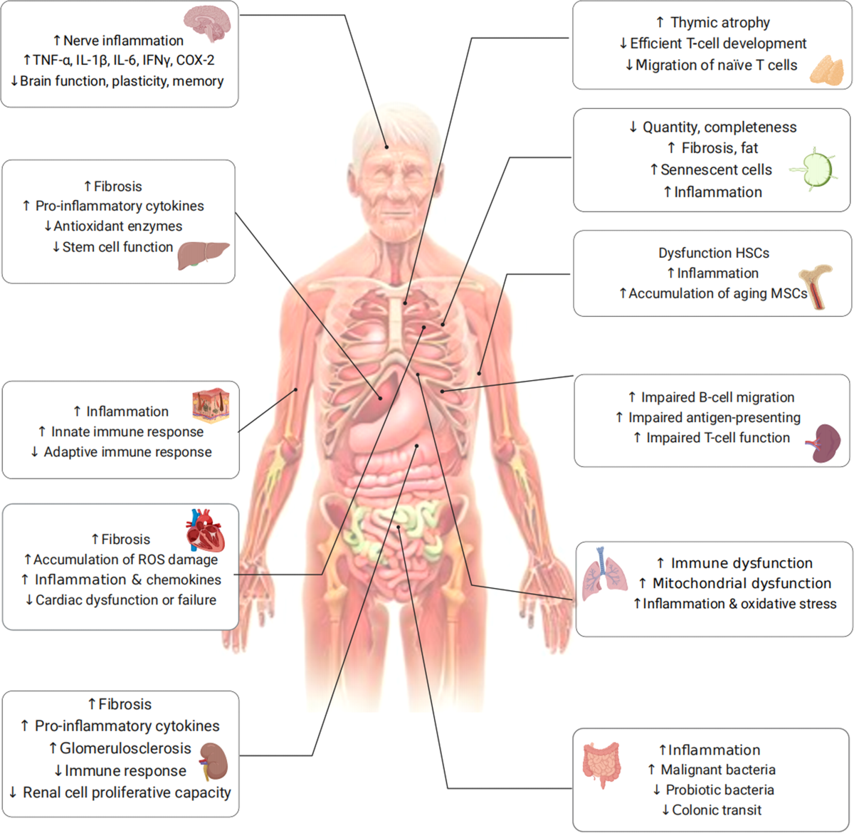 Practical Strategies to Reduce Inflammation