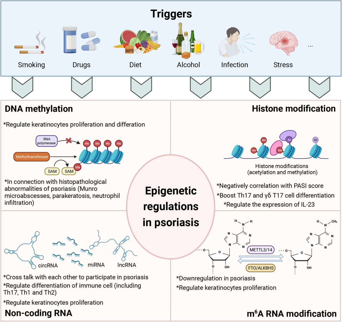 Signaling pathways and targeted therapies for psoriasis | Signal  Transduction and Targeted Therapy