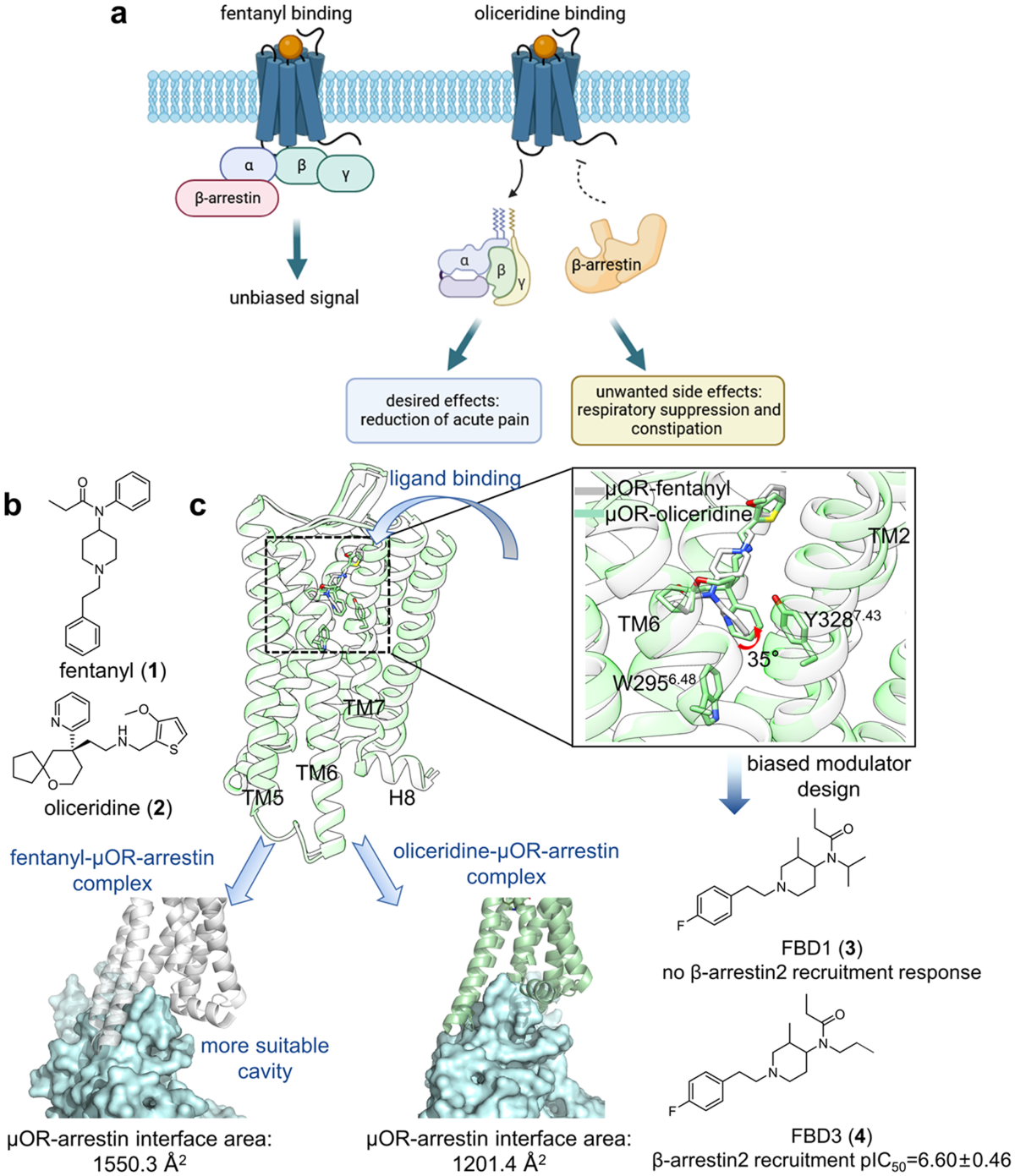 ghk-cu mechanism of action g-protein-coupled receptors The for ligand activation the GPCRG protein complex Exploring the Role of Tripeptides