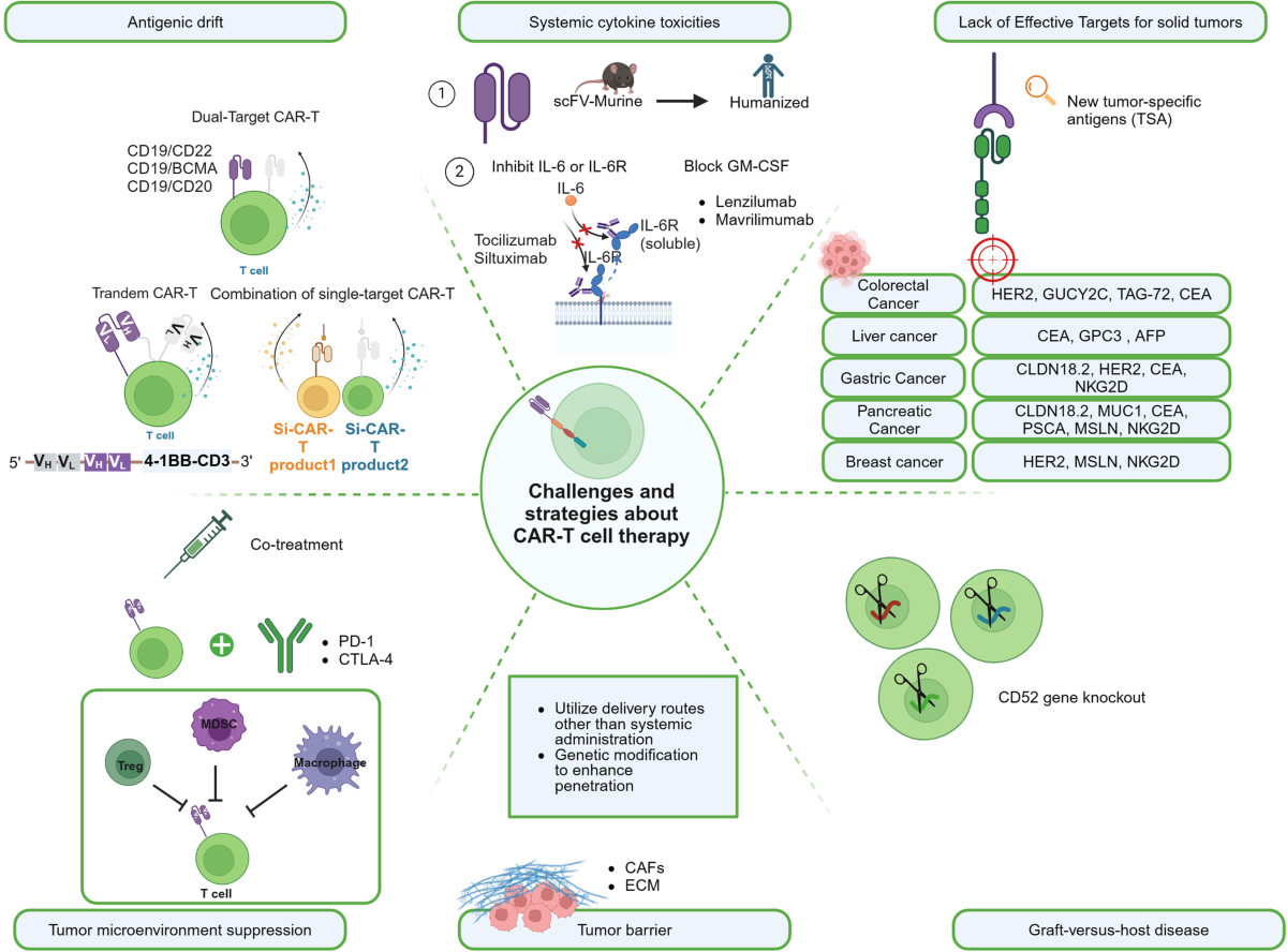 Exploring treatment options in cancer: Tumor treatment strategies | Signal  Transduction and Targeted Therapy