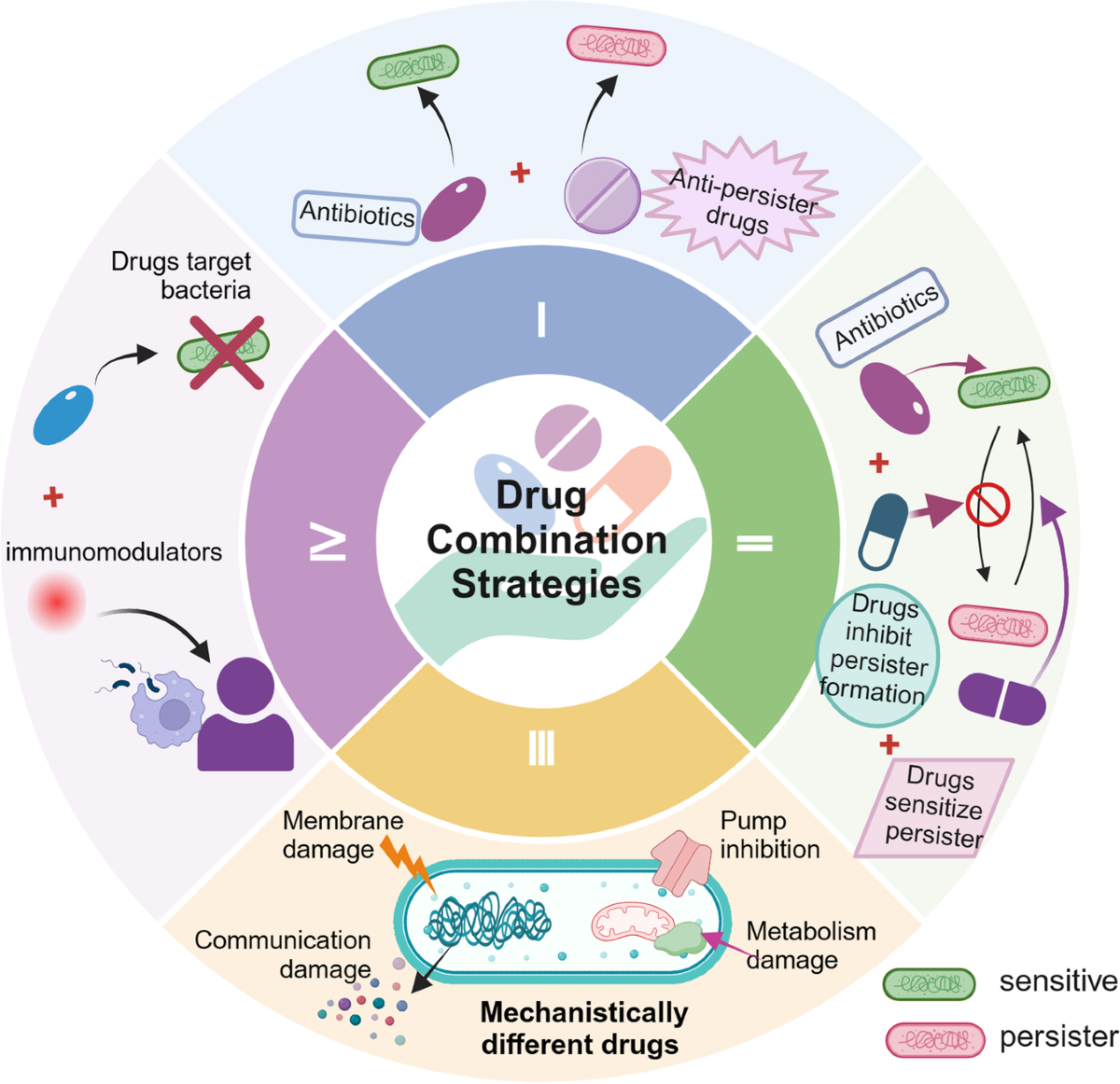 hypothesis glutathione persister cells Plasticity, signaling, and metabolic rewiring in melanoma Persister Cell - an overview