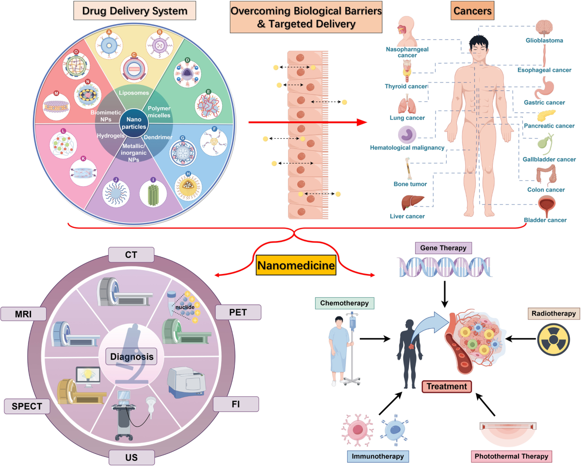 Current advance of nanotechnology in diagnosis and treatment for malignant  tumors | Signal Transduction and Targeted Therapy