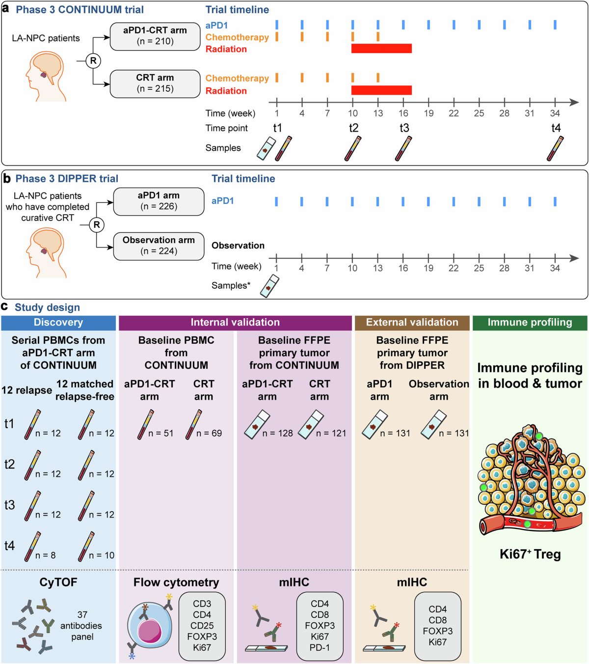 Systemic longitudinal immune profiling identifies proliferating Treg cells  as predictors of immunotherapy benefit: biomarker analysis from the phase 3  CONTINUUM and DIPPER trials | Signal Transduction and Targeted Therapy