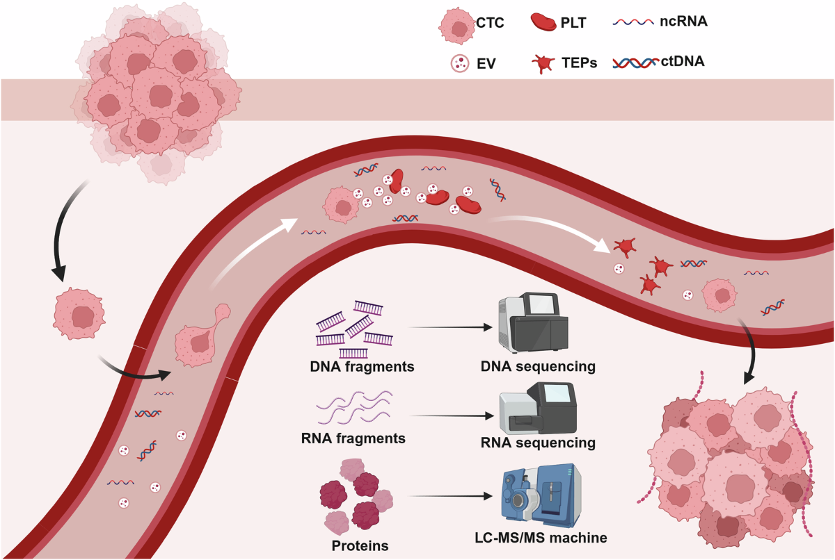 liquid biopsy cancer detection biomarker analysis