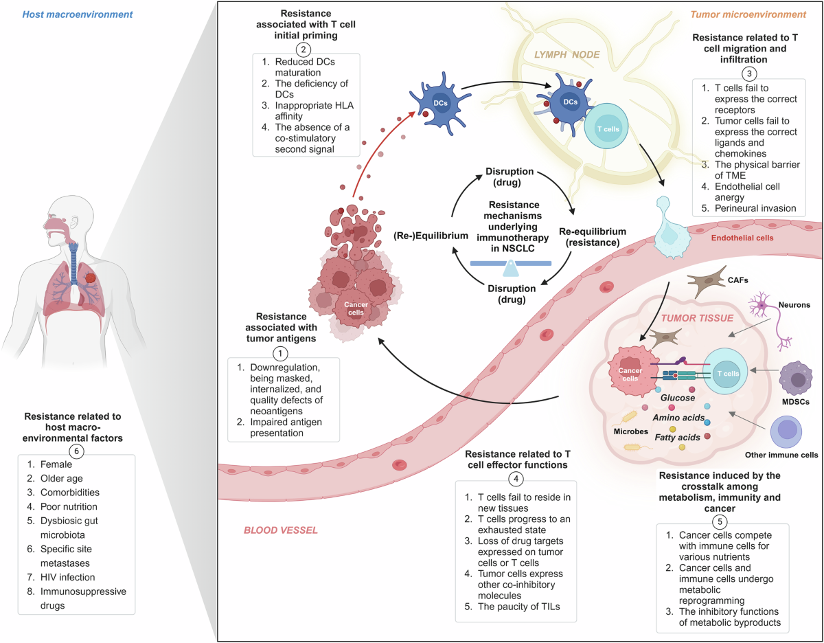 Advances in molecular pathology and therapy of non-small cell lung cancer |  Signal Transduction and Targeted Therapy