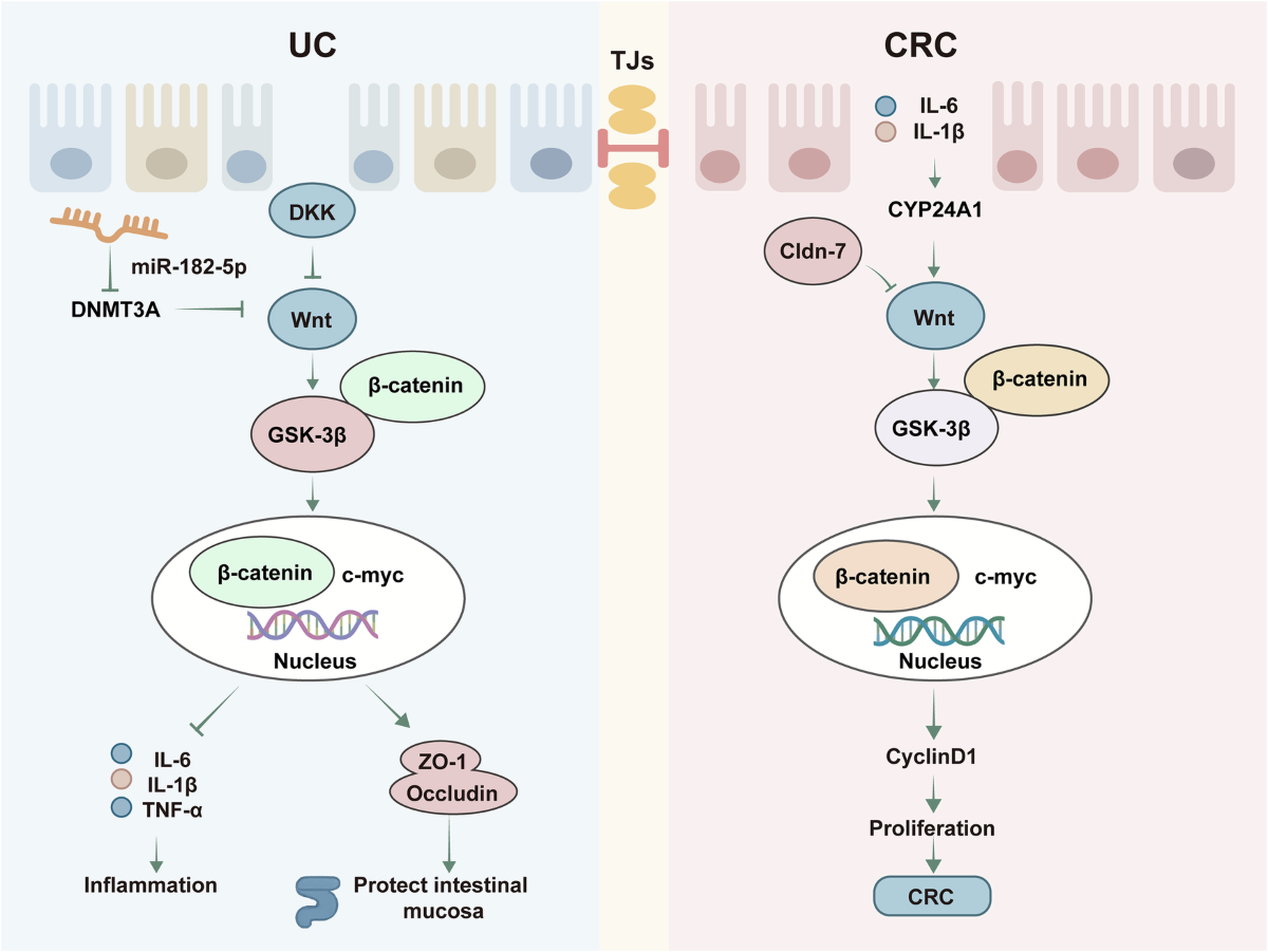 why does glp 1 make you lose weight GLP-1 Agonists: Using Semaglutide, Tirzepatide, and Orforglipron for Weight  Loss and Obesity