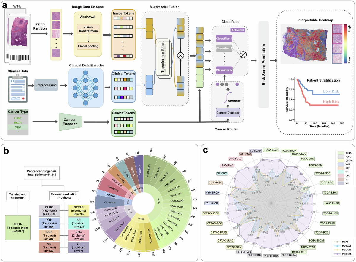 Pancancer outcome prediction via a unified weakly supervised deep learning  model | Signal Transduction and Targeted Therapy