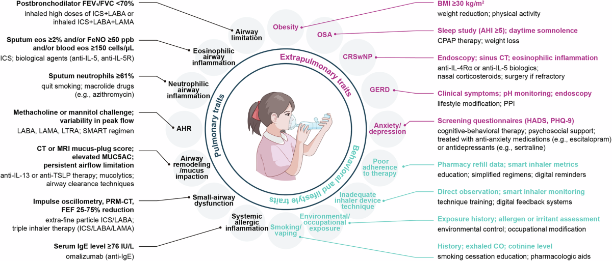 Mechanisms and therapeutic strategies of asthma: from bench to bedside
